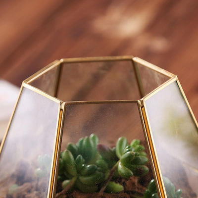 現代卓上の装飾のガラスHomewareの幾何学的な陸生動物飼育器DIYの花の表示つぼ サプライヤー