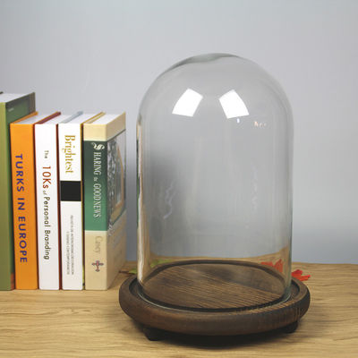 木製の基盤D20*H40cmのホウケイ酸ガラスのドームの表示Cloche サプライヤー