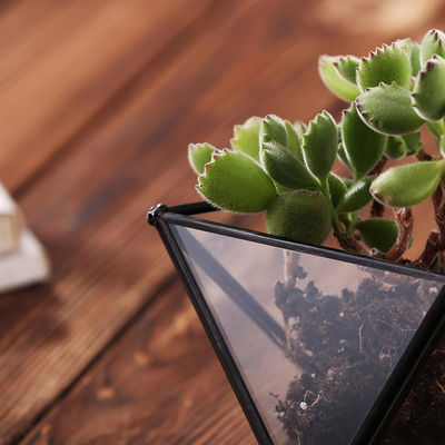 小型金属の卓上の幾何学的な空気植物のホールダー、Himmeliの装飾のガラス空気植物のホールダー サプライヤー